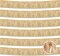 6 Pack 10 Feet Champagne Gold Foil Fringe Garland Metallic Foil Tinsel Streamers, Wall Hanging Fringe Curtain Backdrop Tinsel Fringe Banner for Parade Floats, Wedding, Birthday Party Decorations
